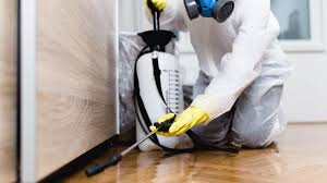 Best Residential Pest Control  in Los Alamos, CA