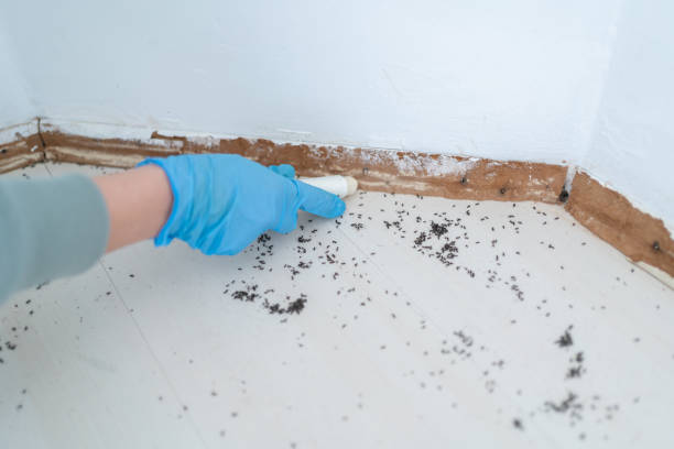 Best Pest Control for Multi-Family Homes  in Los Alamos, CA